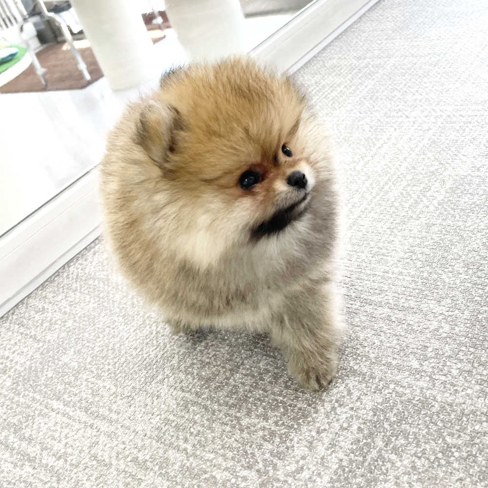 元気いっぱい！